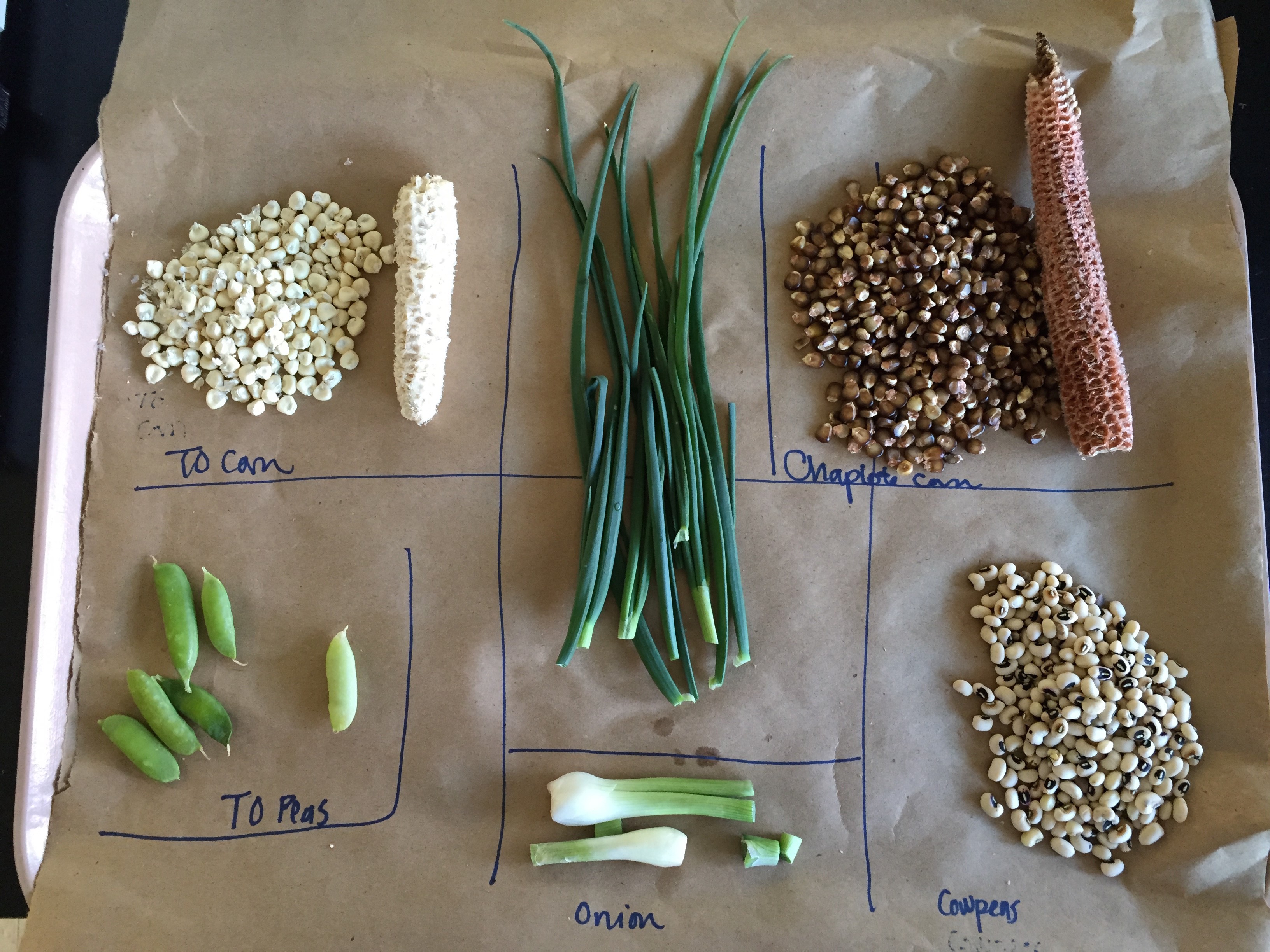 Crops from local gardens used to assess regional contaminant impact to soil and water supplies