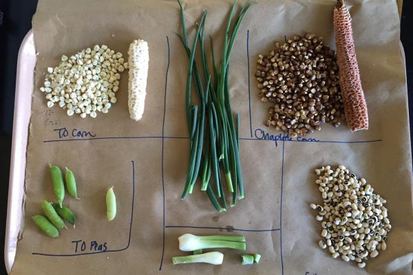 Crops from local gardens used to assess regional contaminant impact to soil and water supplies